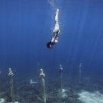 MAIN PHOTO Scuba Diving Samos Greece Kerveli Dive Center Snorkeling Tauchen Immersioni Samos kerveli bay 1 450x250 1 150x150