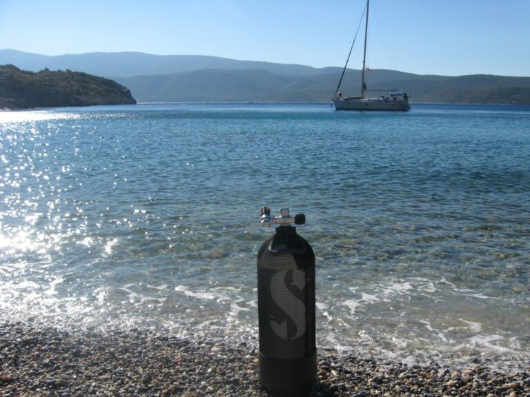 dfda2779 725e 4f0f 8db2 975bbbcd7527  768x576