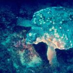 122921433 10158305739770100 7747909981905302381 n 150x150