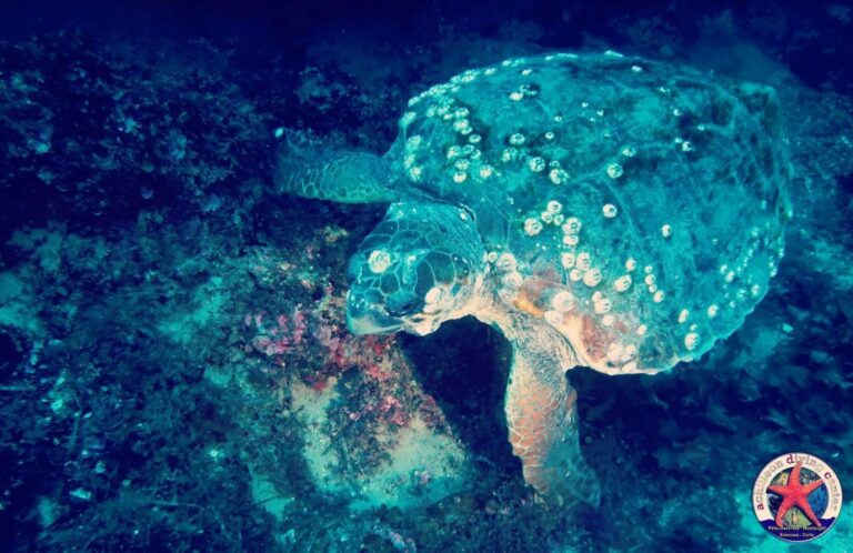 122921433 10158305739770100 7747909981905302381 n 768x498