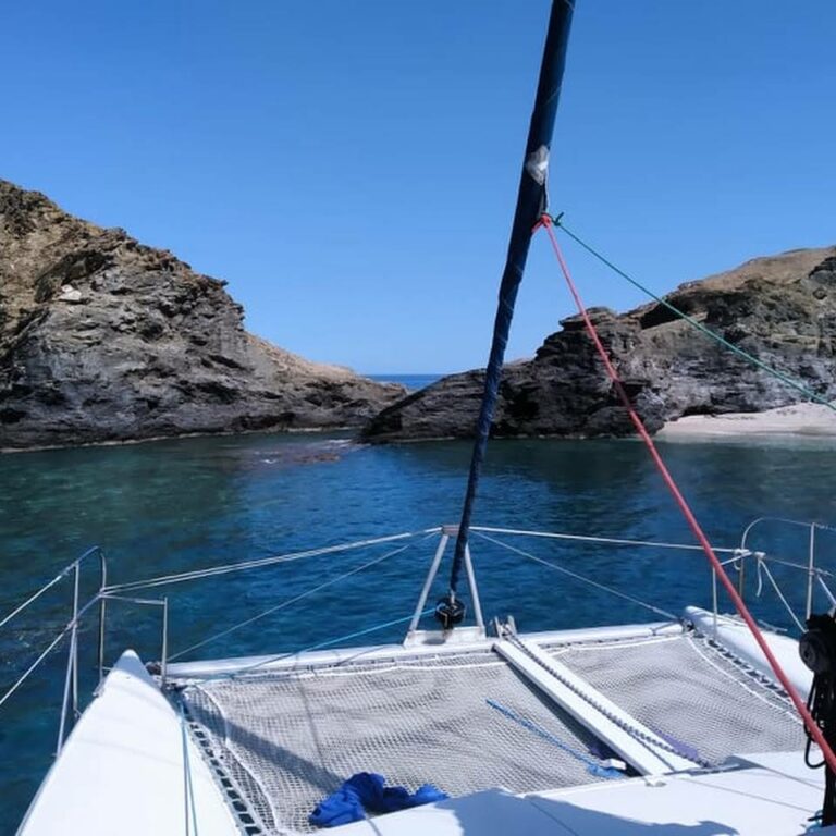 120334067 792970794850997 8833978592995661522 n 768x768