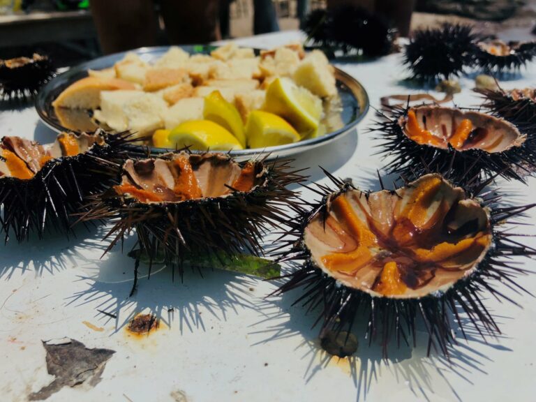 219909037 2449563311841216 667093150836747010 n 768x576