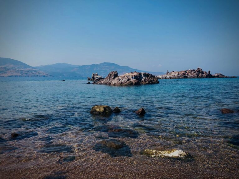 220886555 2449563231841224 234520810290227711 n 768x576