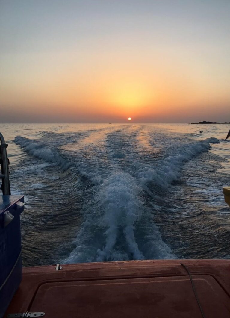 234702698 2464521353678745 1348272525018051772 n 768x1062