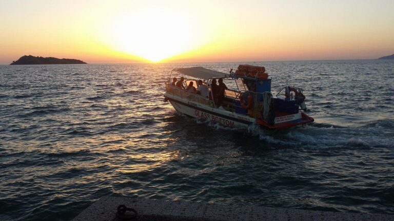 281753955 2700643430066535 3475958532875036207 n 768x432