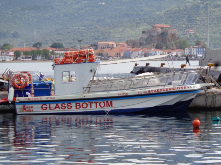 345465354 181013834888019 152459327976299019 n 768x576