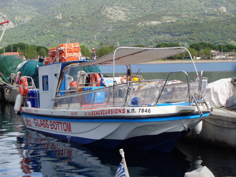 345586935 1281559882458243 4933068477818719354 n 768x576