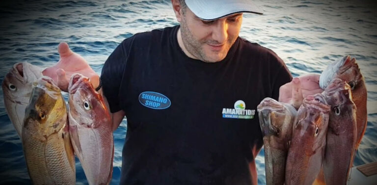 amanatidis 5 768x377