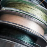 donax6 150x150