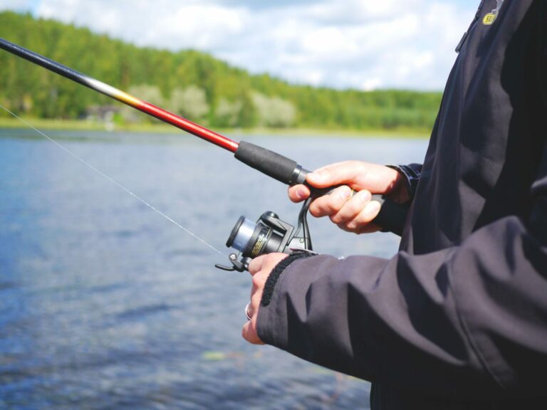 sport lake recreation fishing fish leisure 701951 pxhere.com 1 1920x1440 1 768x576