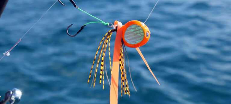 taiRubberSlider 2000x900 1 768x346