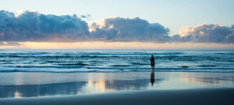 w2f0 2000x900 1 768x346