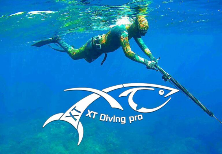 118765793 1758363797636277 5735610066726645010 n 768x534