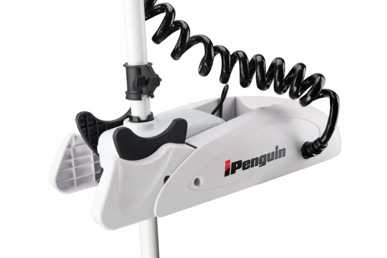 244222274 362883198865071 1177364951222613484 n 768x512