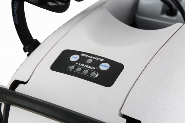 244263396 362883122198412 1094114279487047130 n 768x512