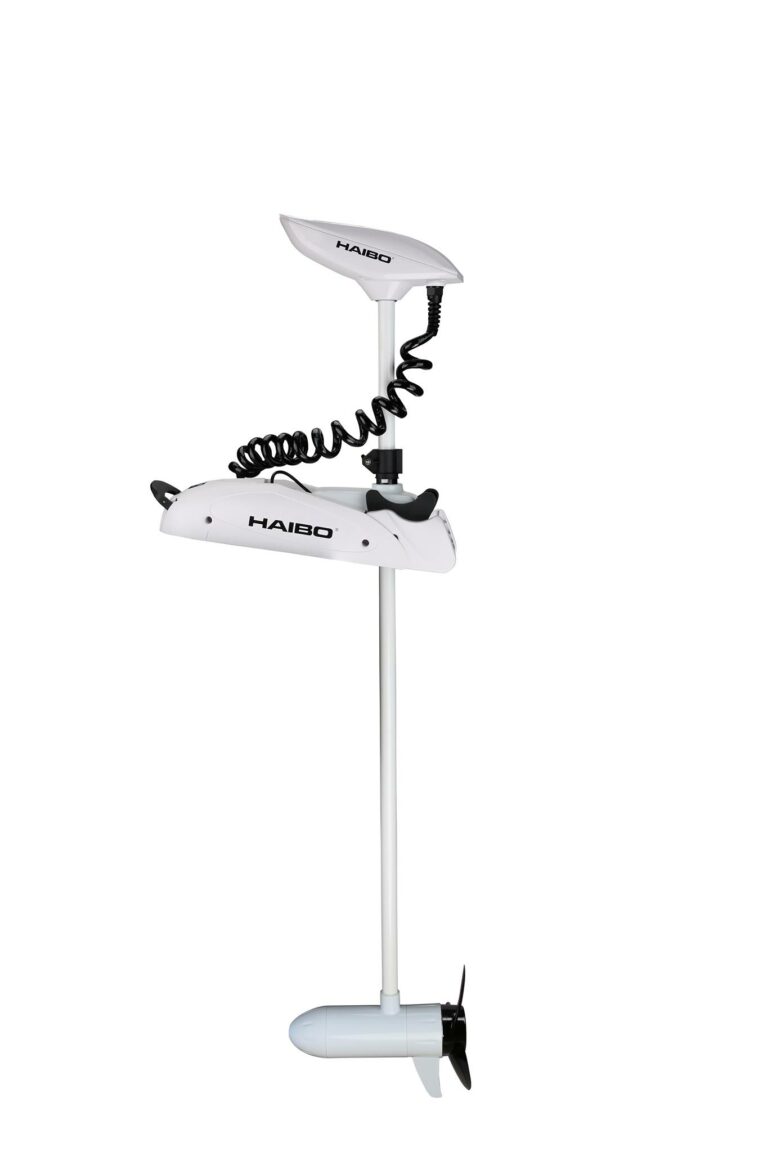 244301283 362883058865085 468327506425215788 n 768x1152