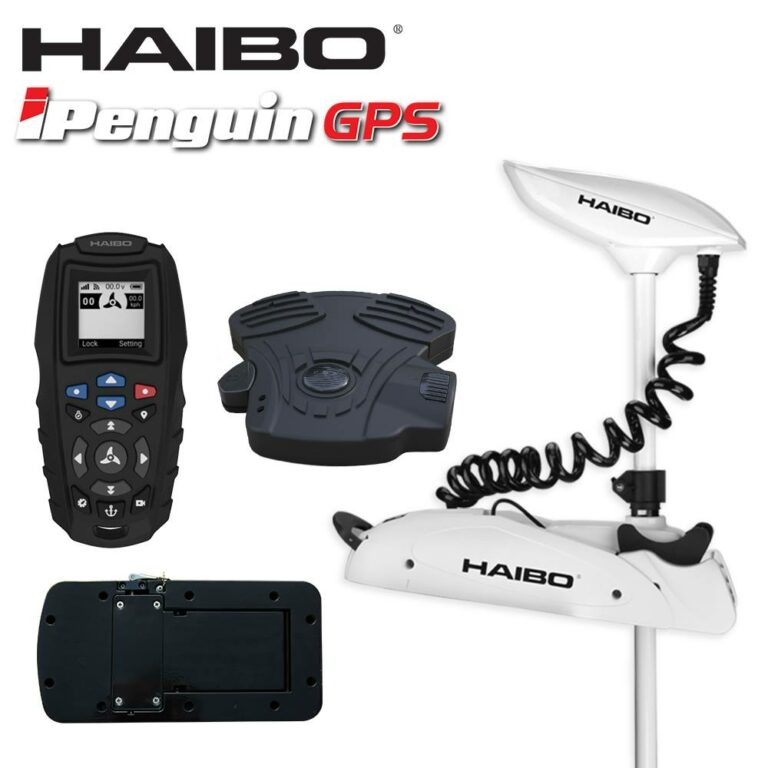 244364425 362881795531878 4447413067739218229 n 768x768