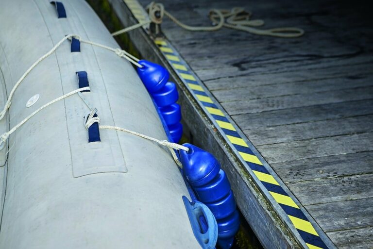 270250320 417585966728127 542509266789380109 n 768x513