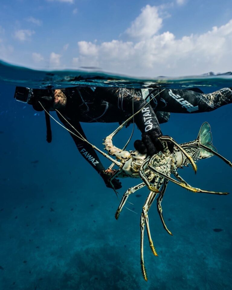 277750689 5442042632497188 150518895833229303 n 768x960