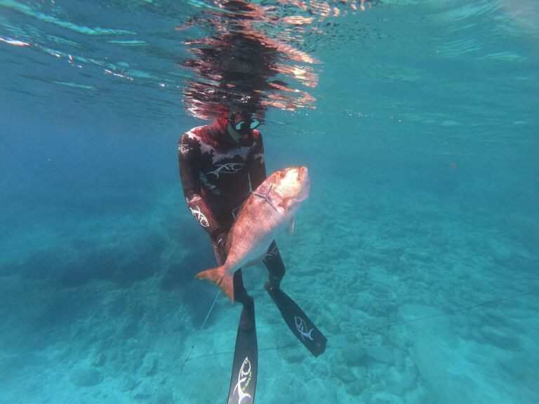 311836866 2394264584046192 997472313729749006 n 768x576