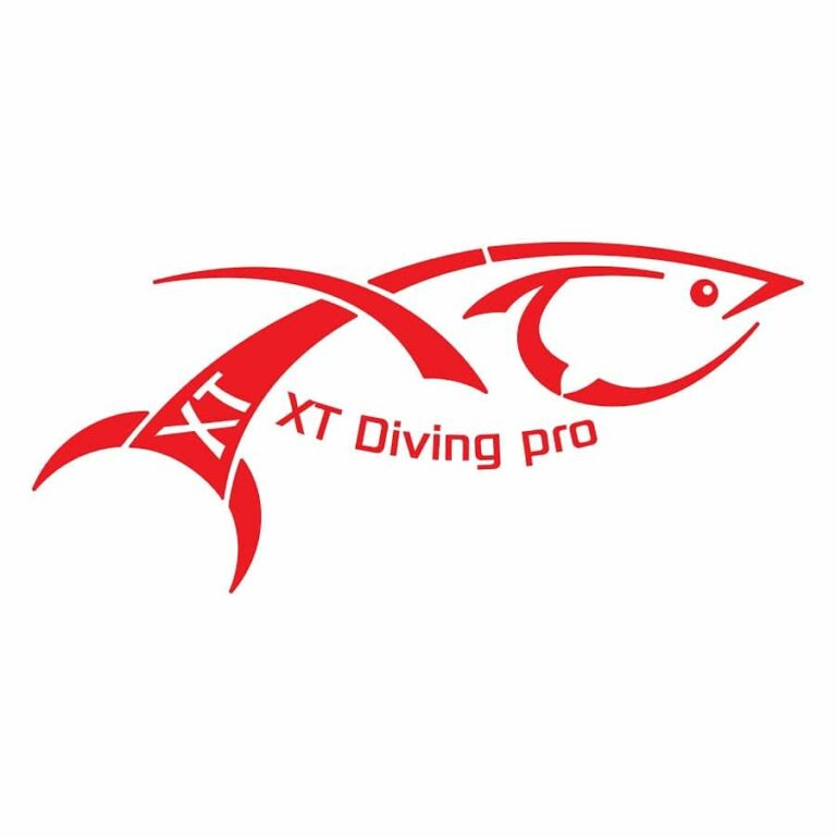 326268114 2066384526865137 7383271995788865009 n 768x768