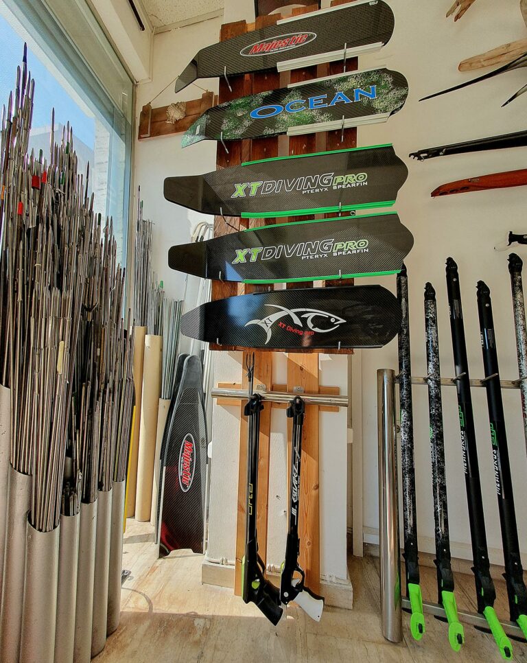 332824824 737591844710718 4282926866484435506 n 768x966