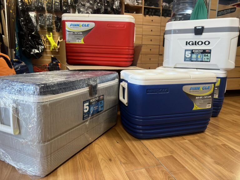 347384933 763302965691187 2011325437928833262 n 768x576