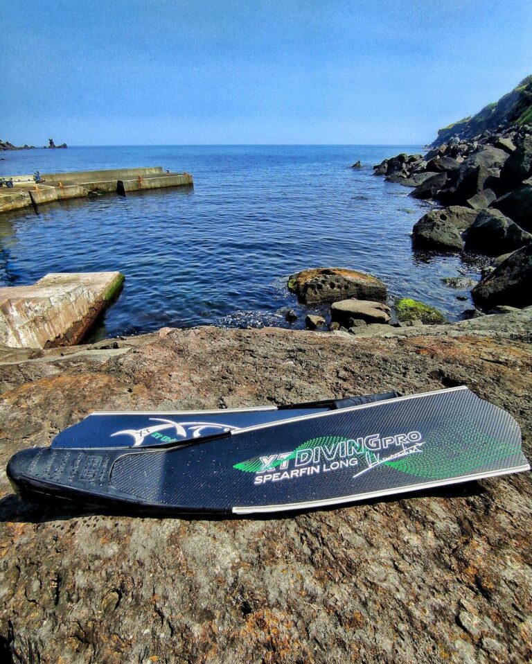 353857059 754581589896658 1822171556185011905 n 768x958