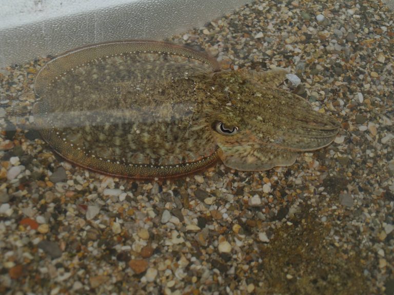 1512156 10152135743104468 36832412 o 768x576