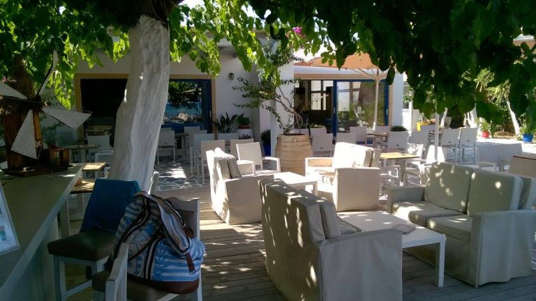 19221850 1348621335234288 7621892034758662101 o 768x432