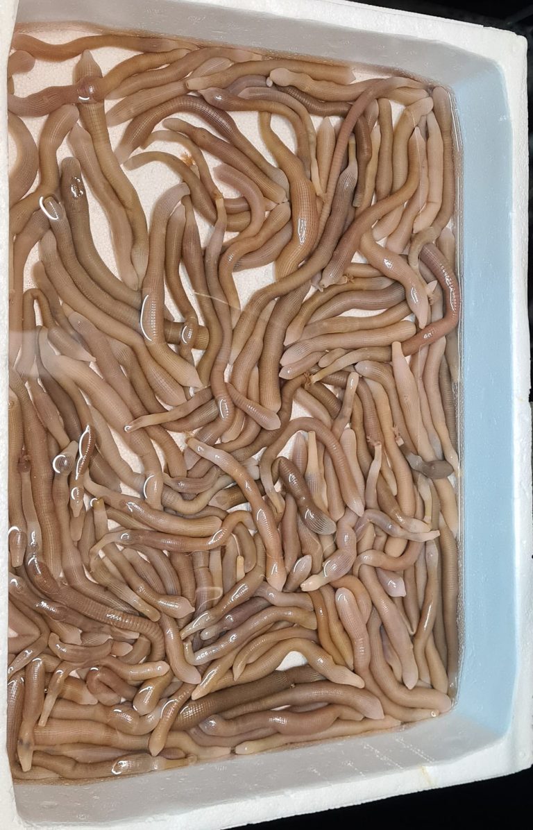 293730346 10160299038039468 7171072534265374438 n 768x1196