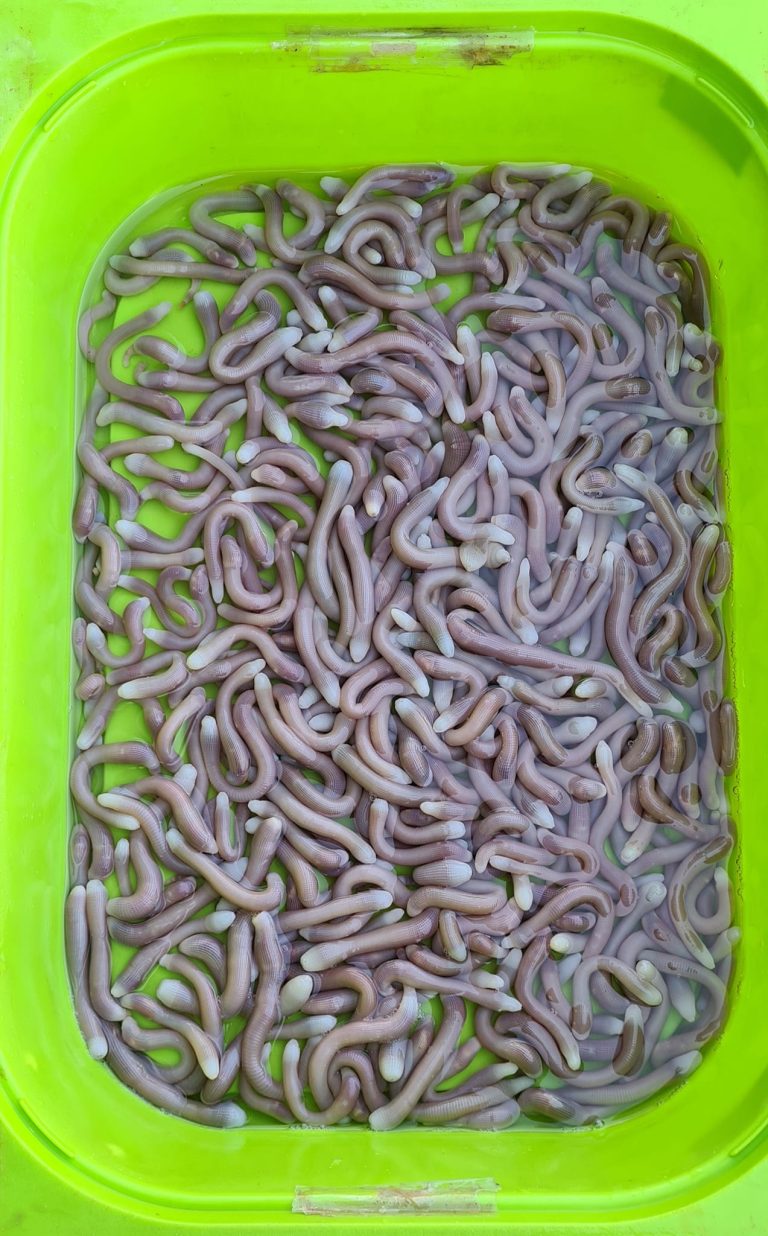 312944477 579210627338920 272382524941152350 n 768x1236