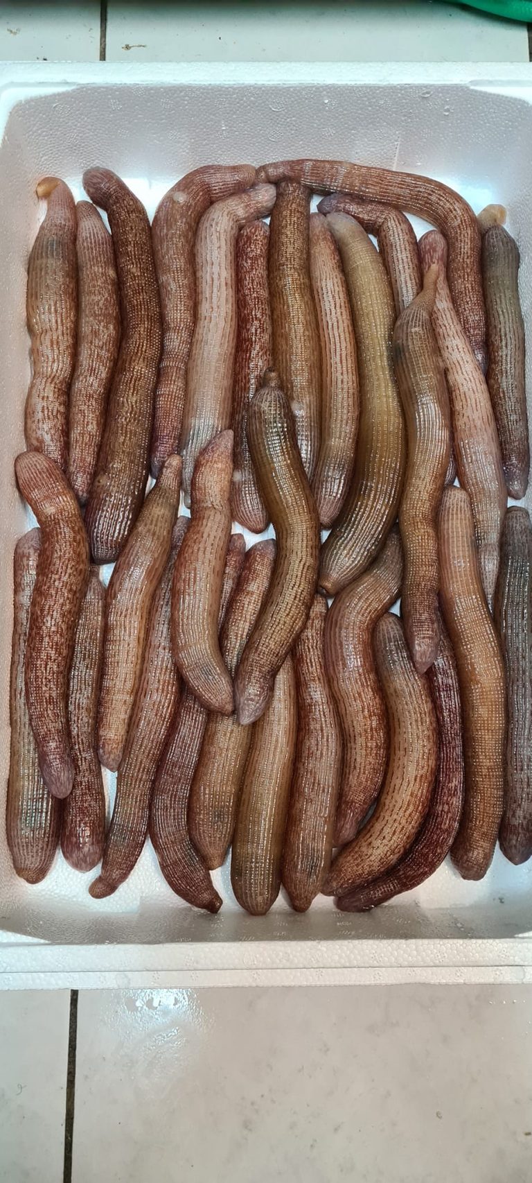 313299588 579211227338860 2752719625797313524 n 768x1706