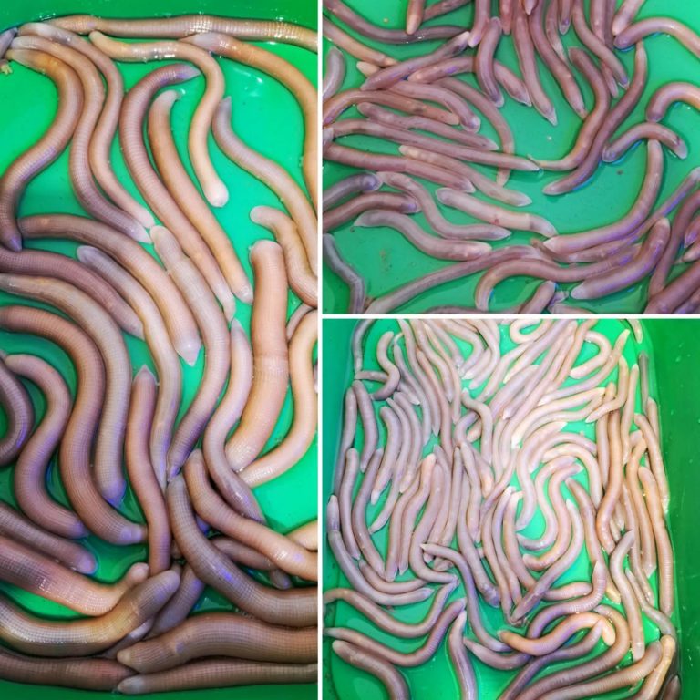 331405794 5870533732999785 5171738803949054098 n 768x768