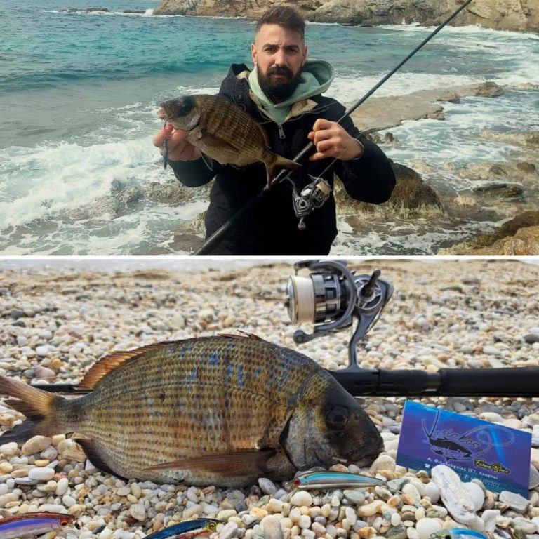 331636180 565638462176660 9067870791548051125 n 768x768