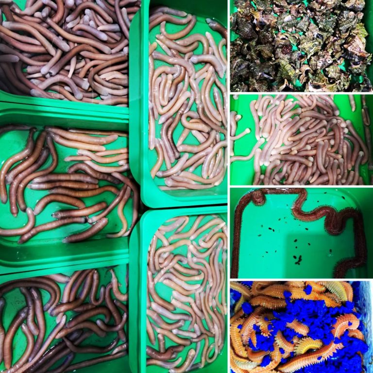 347595650 1301130714146070 4914061286792838305 n 768x768