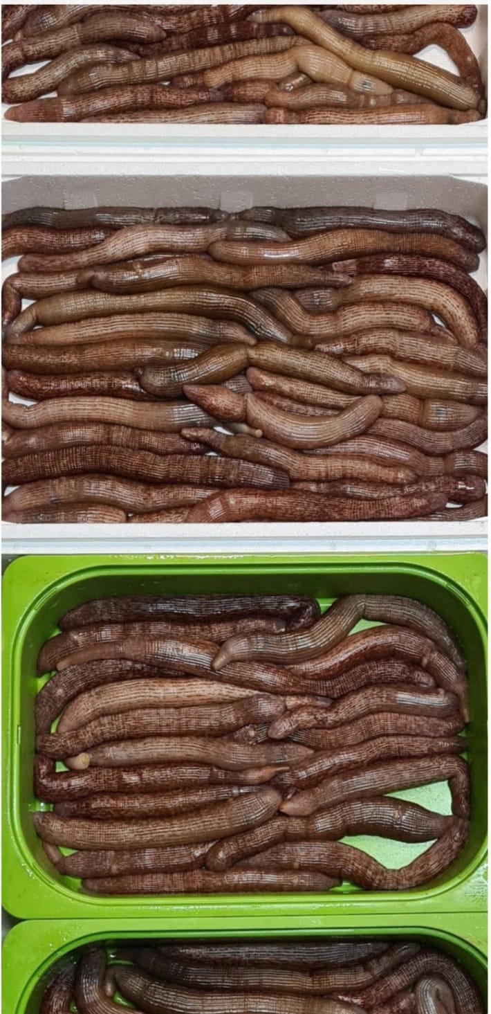 370608764 770359231557391 2233739475935377296 n