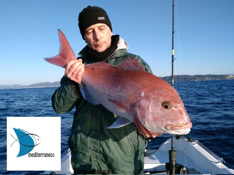 15675689 1725392157777960 696785433590558109 o 768x576