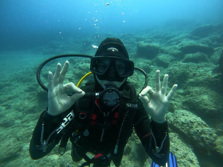 IDC NEW 18 2 768x576