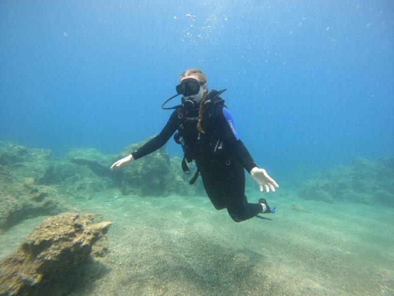 IDC NEW 36 2 768x576