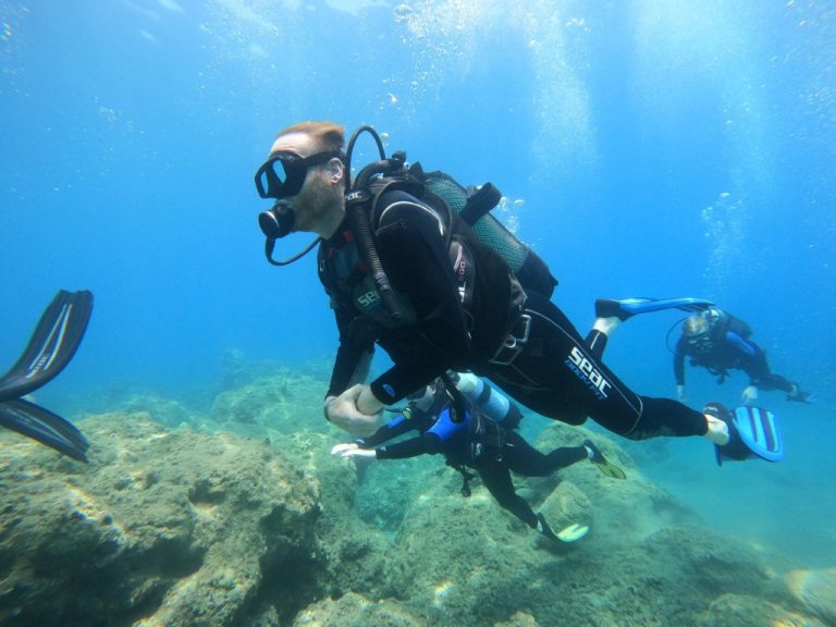 IDC NEW 37 1 768x576