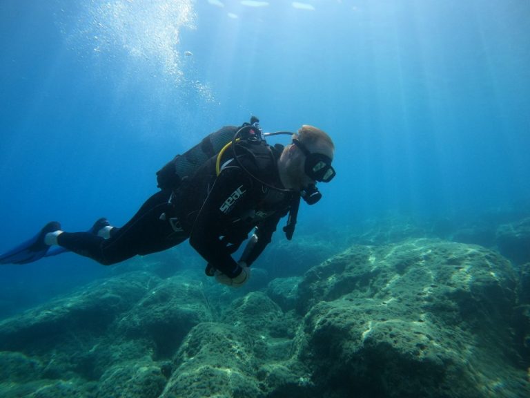 IDC NEW 38 2 768x576