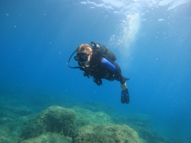 IDC NEW 39 2 768x576