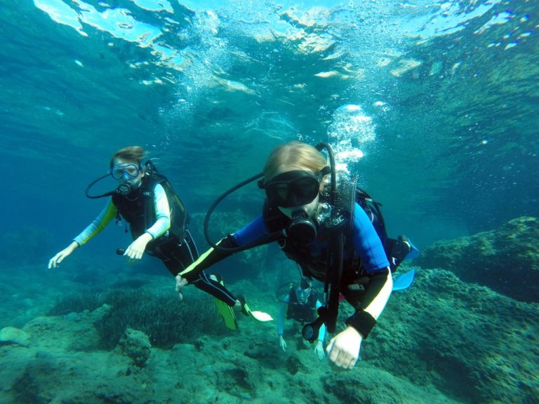 IDC NEW 42 2 768x576