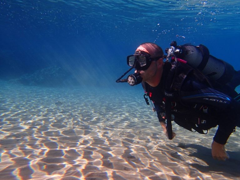 IDC NEW 79 1 768x576