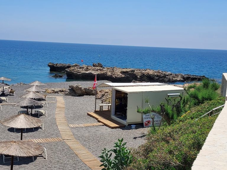 Kakkos idc 4 768x576