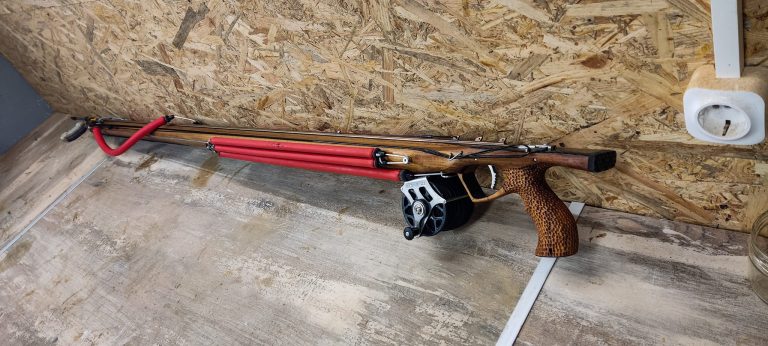 273007031 5005703252793208 6471688209263288822 n 1 768x346