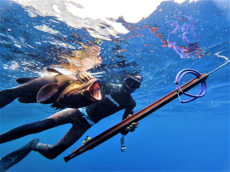 41304729 286480338843828 2576027740968845312 n 768x576