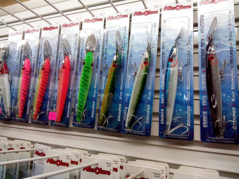 28423261 1764915356862582 7611286910038112426 o 768x576