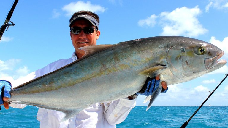 31886487 1835564843130966 789677110858874880 n 768x433